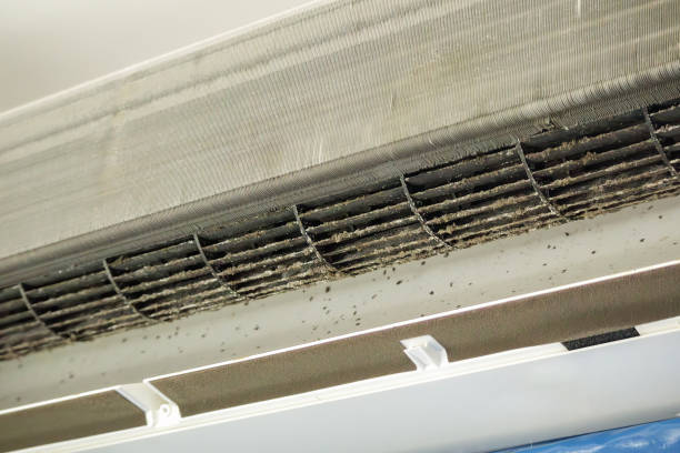Best Commercial Air Duct Cleaning  in Cheverly, MD